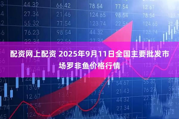 配资网上配资 2025年9月11日全国主要批发市场罗非鱼价格行情