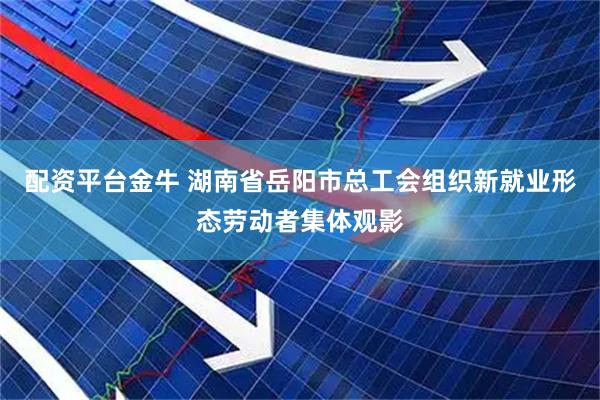 配资平台金牛 湖南省岳阳市总工会组织新就业形态劳动者集体观影