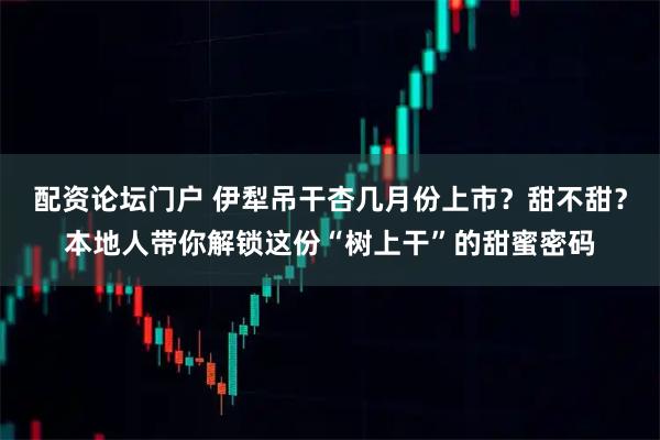 配资论坛门户 伊犁吊干杏几月份上市？甜不甜？本地人带你解锁这份“树上干”的甜蜜密码