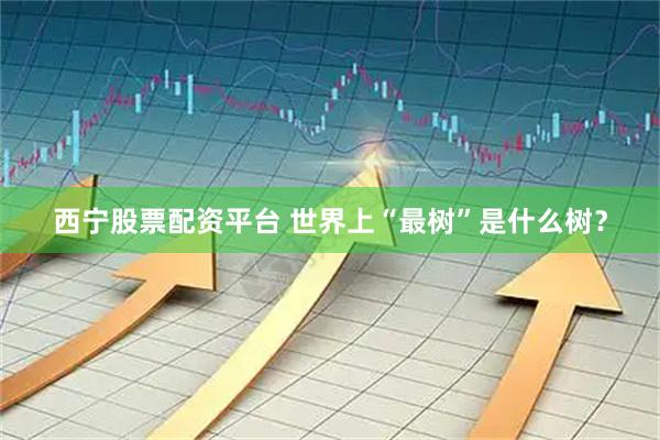 西宁股票配资平台 世界上“最树”是什么树？